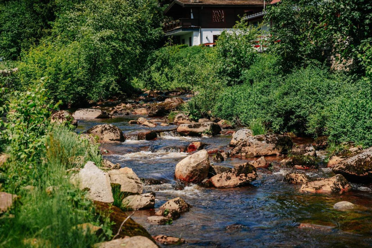 Hotel Villa Bodeblick Schierke Εξωτερικό φωτογραφία